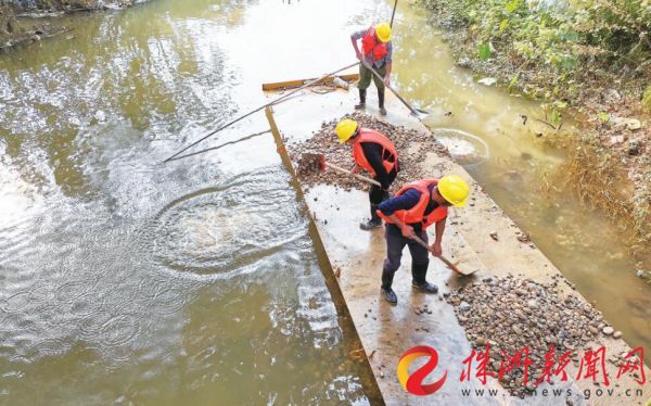 工人正向枫溪港底回填鹅卵石。廖明 摄